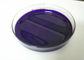 Certificación violeta del COA TDS del SGS MSDS de la fuerza del alto color de la goma del pigmento de la PU 5v proveedor